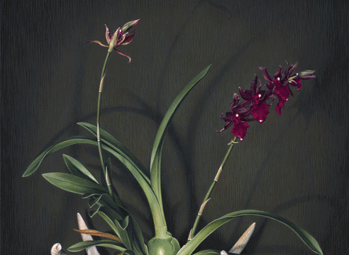 SUSAN McDONNELL , Orchids and Antlers, 2014