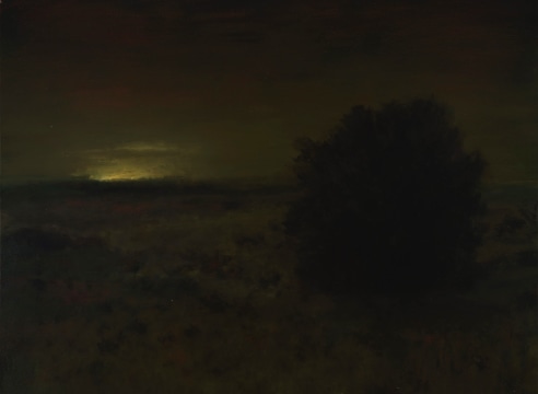 CHRIS PETERS , Chapparal at Night, 2018