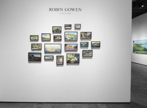 ROBIN GOWEN: A Wild Hush 2025 installation photo
