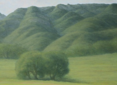 SARAH VEDDER , Folded Hills