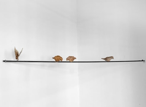 NATHAN HUFF , Birds on a Wire II, 2025