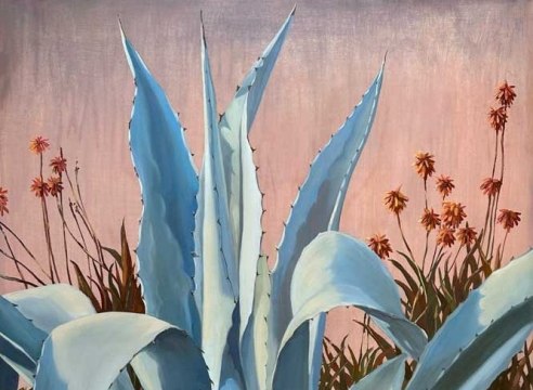 AMBER O'NEILL , Agave, 2023