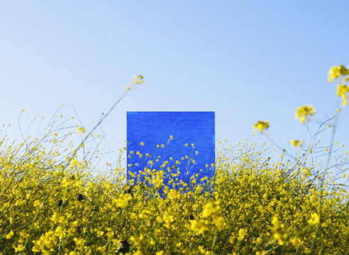 BLAKENEY SANFORD , The Portals - California Mustard, 05.19.20, Santa Barbara County, CA, 2020