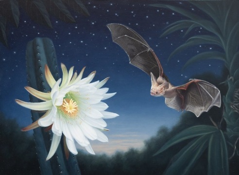 SUSAN MCDONNELL, Pallid Bat, 2024 for The Winter Salon, 2025