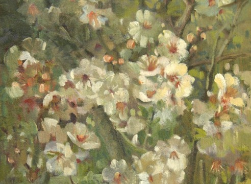 Meredith Brooks Abbott, Almond Blossoms, 2016