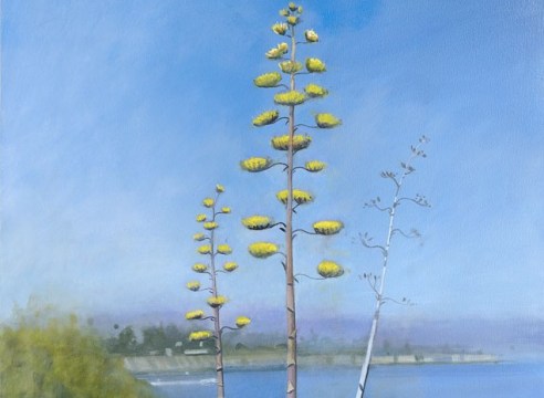 HANK PITCHER , Blooming Magueys, 2025