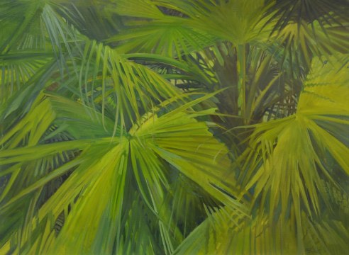Meredith Brooks Abbott, Palm Fronds, 2016