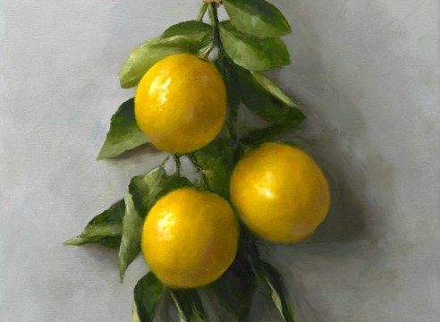 SARAH LAMB, Meyer Lemons