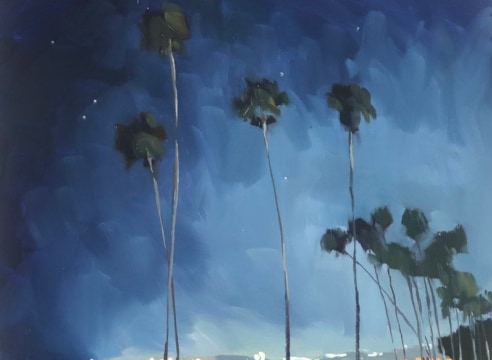 SHARON SCHOCK , Cabrillo Nocturne, 2024