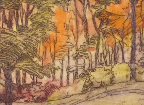 NELL BROOKER MAYHEW (1876-1940), Eucalyptus Grove, c 1915