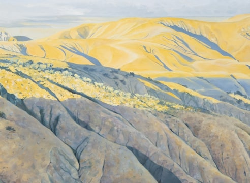 ROBIN GOWEN , The Inland, 2025