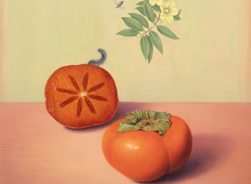 SUSAN MCDONNELL , Persimmons, 2023