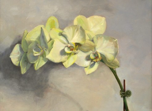 ALIA EL-BERMANI , White Orchid, 2015
