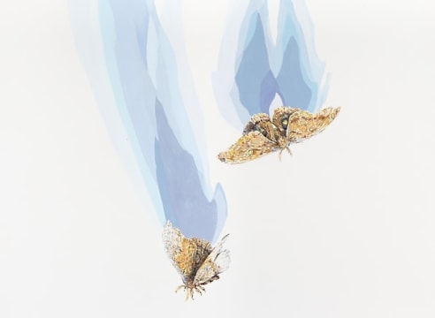 NATHAN HUFF , Travelers, 2025