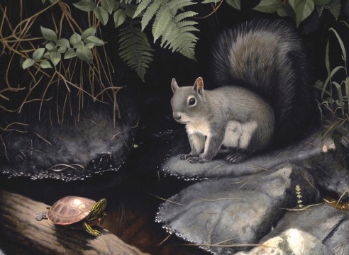SUSAN MCDONNELL, Turtle and Squirrel, 2020