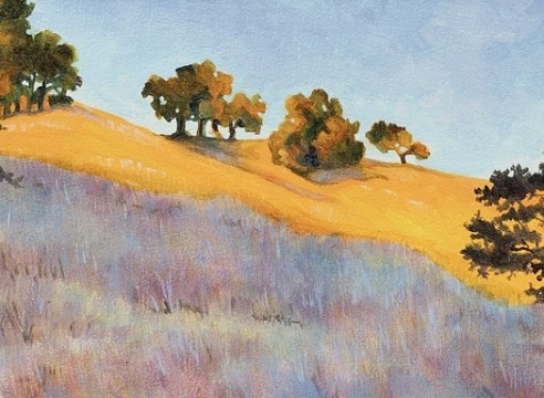 ROBIN GOWEN , Shadow on the Grass, 2025