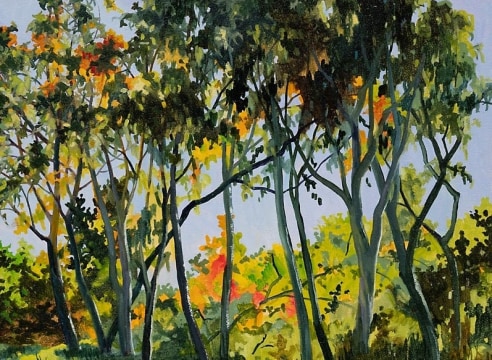ROBIN GOWEN , Young Stand of Eucalyptus, 2025