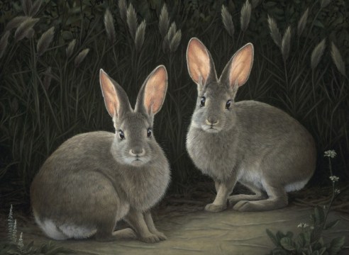 SUSAN MCDONNELL, Two Marsh Hares, 2021