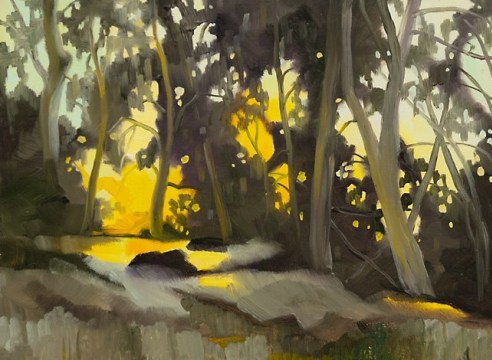 ROBIN GOWEN , Vieja Light, 2025