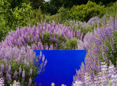 BLAKENEY SANFORD, The Portals - Wilhoit Mill, 05.28.23, Mono County, CA, 2023