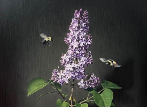 SUSAN McDONNELL, Lilac, 2025