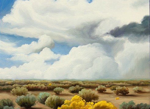 PHOEBE BRUNNER , Desert Cloud, Desert Sage, 2019
