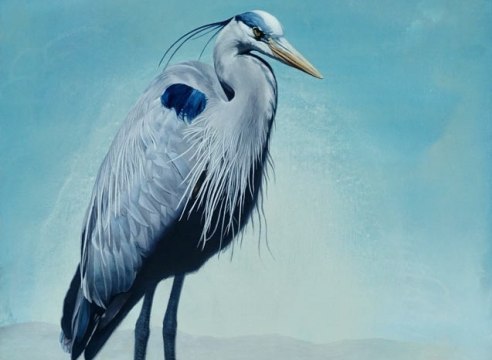 SUSAN MCDONNELL , Blue Heron, 2023