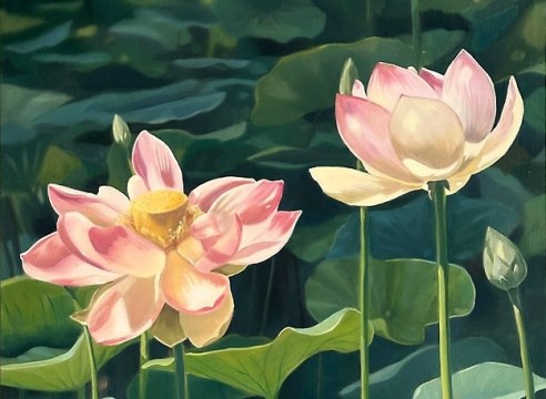 AMBER  O'NEILL , Water Garden, 2025