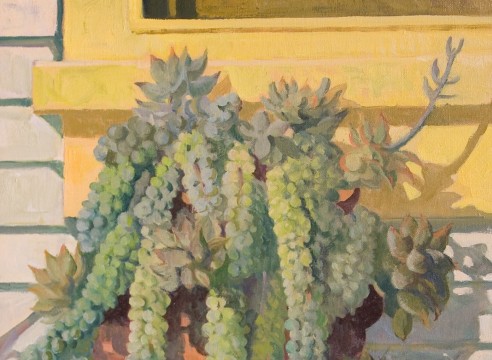 MEREDITH BROOKS ABBOTT, Succulents, 2018