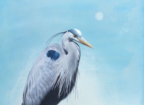 SUSAN MCDONNELL, Blue Heron, 2023