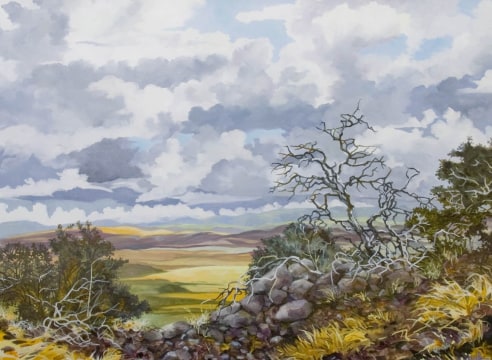 ROBIN GOWEN , Looking Into Surprise Valley, 2017