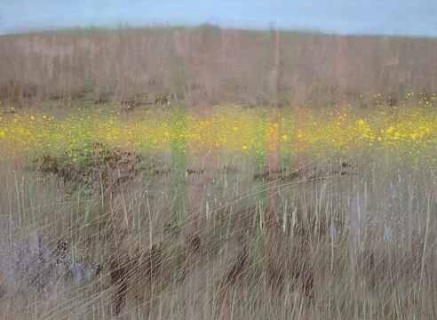 MARIA RENDÓN , Along Sisquoc River, 2025