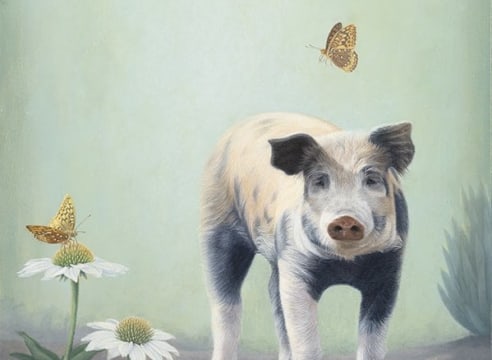 SUSAN MCDONNELL , Piglet & the Butterflies, 2023