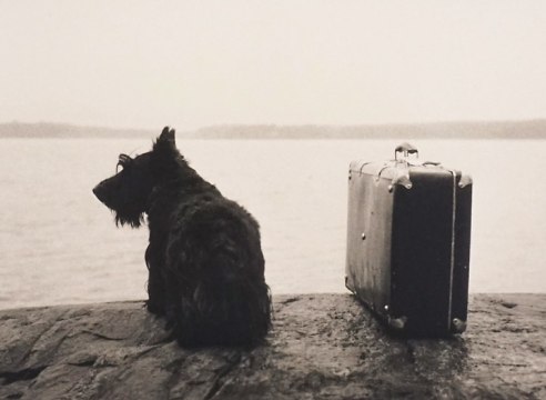 KRISTOFFER ALBRECHT , Dog with Suitcase, 1982