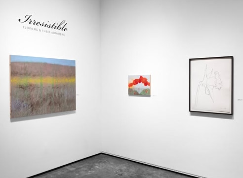 Installation photograph of IRRESISTIBLE: Flowers & Their Admirers, Maria Rendon an Ellsworth Kelly