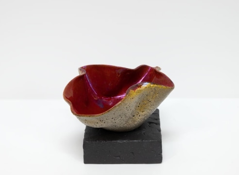 JAMES HAGGERTY, Flor Rubra #10, 2025