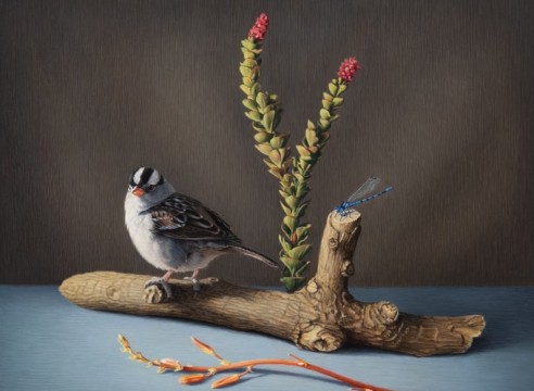 SUSAN MCDONNELL , White-Crowned Sparrow, 2023