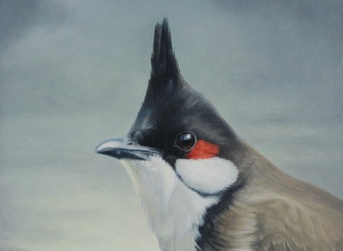 SUSAN MCDONNELL , Red Whiskered Bulbul, 2022