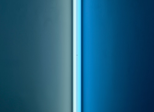 Dan Flavin