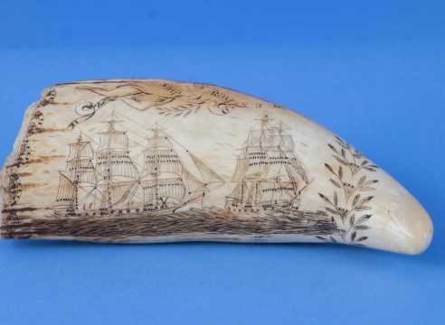 Outstanding Scrimshaw Whale's Tooth, Titled at the top of the obverse &quot;Ship Romeo of NB&quot;, American, circa 1850