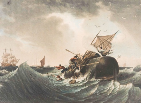 Hand colored Lithograph Titled &quot;Peche du Cachalot&quot;, 19th Century
