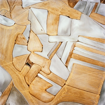 David Maisel