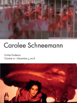 Carolee Schneemann: Further Evidence