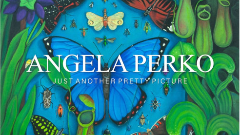 ANGELA PERKO: Just Another Pretty Picture