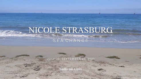 NICOLE STRASBURG: Sea Change  JULY 30 - SEPTEMBER 27, 2021