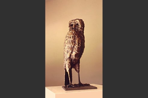 Aldo Casanova, Hawk Owl, 1956