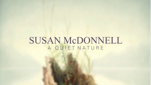 SUSAN McDONNELL: A Quiet Nature