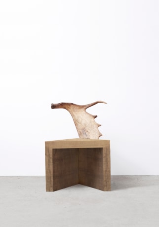 Stag Stool