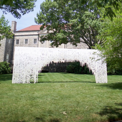 Sublimations: Cheekwood Gardens