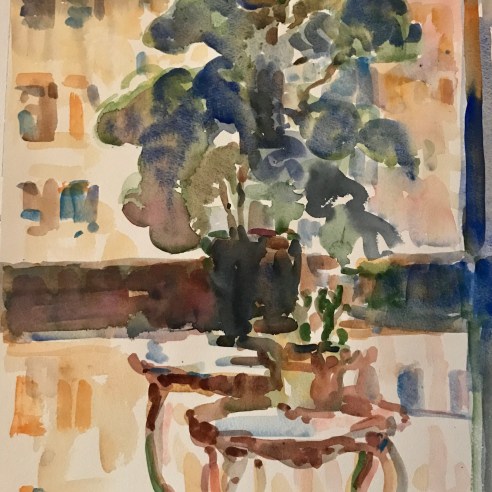 FIG PLANT AND CITY WINDOW